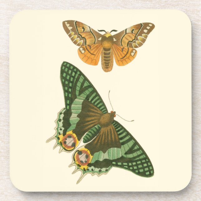 Lightly Bordered Butterfly Painting Beverage Coaster (Front)