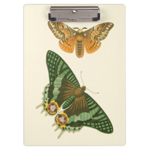 Lightly Bordered Butterfly Painting Clipboard