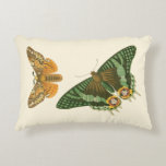 Lightly Bordered Butterfly Painting Decorative Pillow