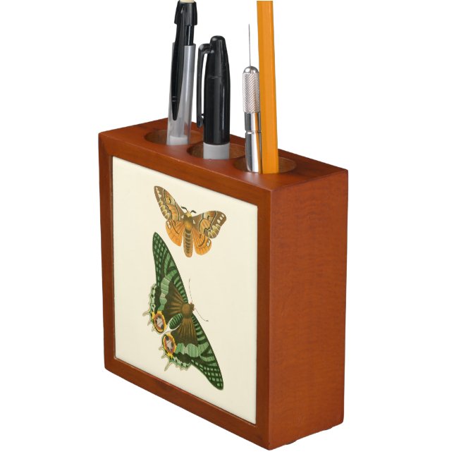 Lightly Bordered Butterfly Painting Desk Organizer (In Situ)