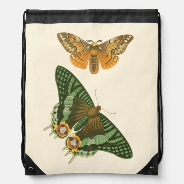 Lightly Bordered Butterfly Painting Drawstring Bag (Front)