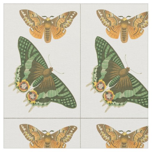 Lightly Bordered Butterfly Painting Fabric