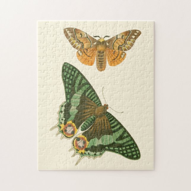 Lightly Bordered Butterfly Painting Jigsaw Puzzle (Vertical)
