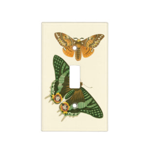 Lightly Bordered Butterfly Painting Light Switch Cover