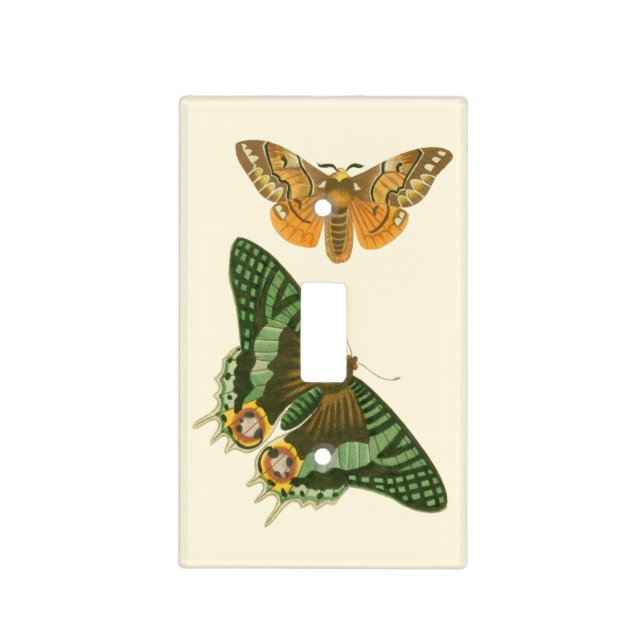 Lightly Bordered Butterfly Painting Light Switch Cover (Front)