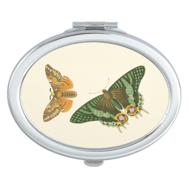 Lightly Bordered Butterfly Painting Mirror For Makeup (Front)