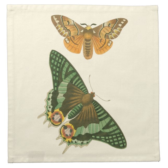 Lightly Bordered Butterfly Painting Napkin (Front)