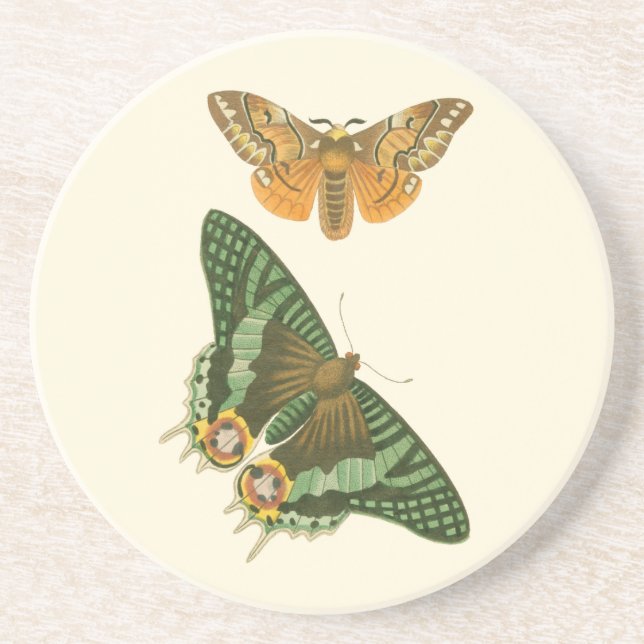 Lightly Bordered Butterfly Painting Sandstone Coaster (Front)