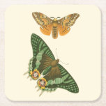 Lightly Bordered Butterfly Painting Square Paper Coaster