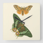 Lightly Bordered Butterfly Painting Square Wall Clock