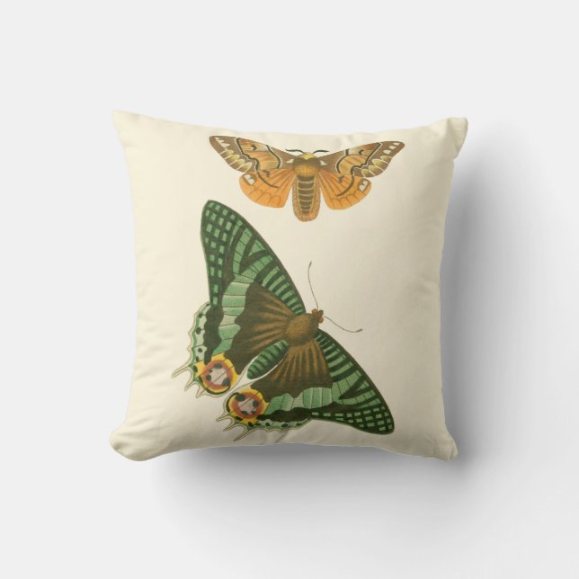 Lightly Bordered Butterfly Painting Throw Pillow (Front)
