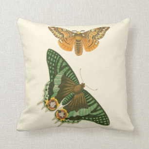 Lightly Bordered Butterfly Painting Throw Pillow