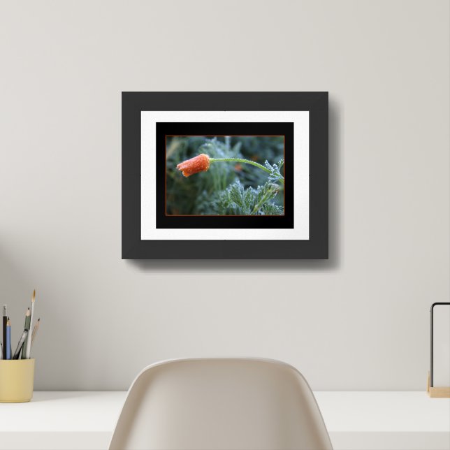 Lightly Frosted California Poppy Framed Art (Home Office)