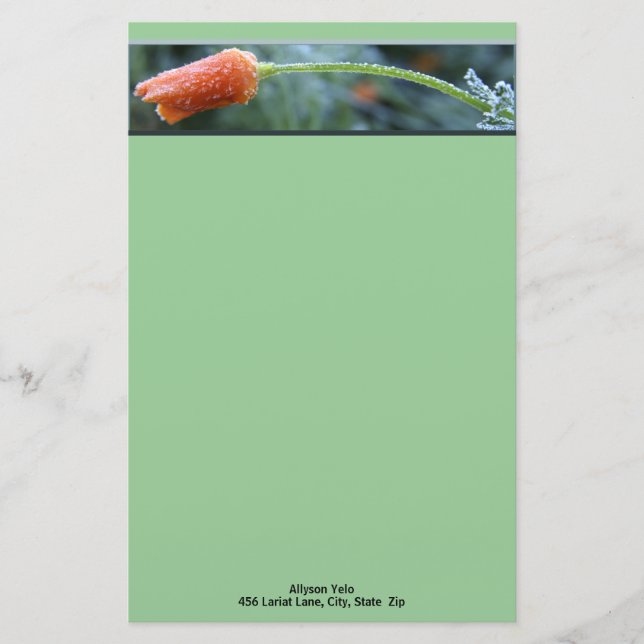 Lightly Frosted California Poppy Personalized Stationery (Front)