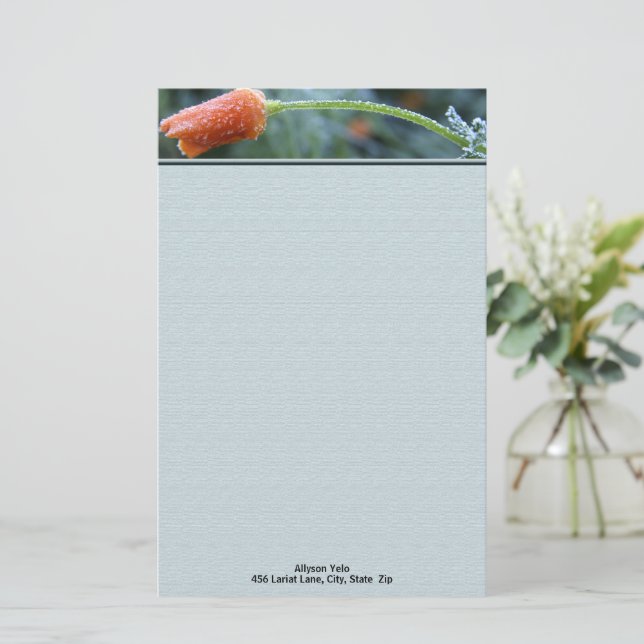 Lightly Frosted California Poppy Personalized Stationery (Standing Front)