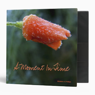Lightly Frosted California Poppy Photo Template 3 Ring Binder