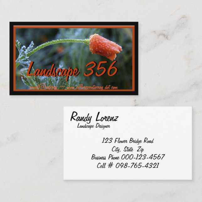 Lightly Frosted California Poppy Photograph Business Card (Front/Back)