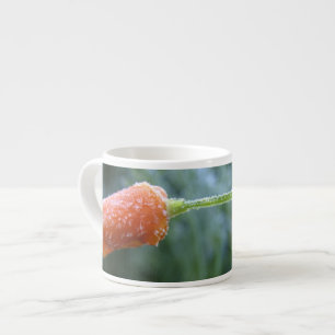 Lightly Frosted California Poppy Photograph Espresso Cup