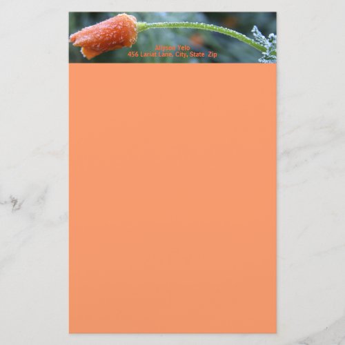 Lightly Frosted California Poppy