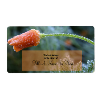 Lightly Frosted Orange California Poppy Label