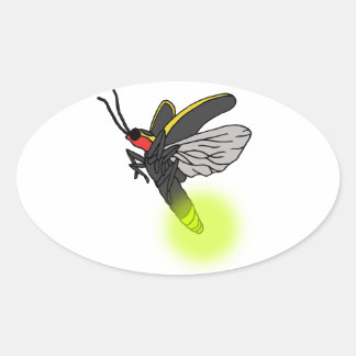 lightning bug flight 2 lit oval sticker