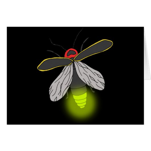 lightning bug flight lit (Front Horizontal)