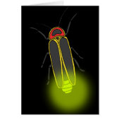 lightning bug lit (Front)