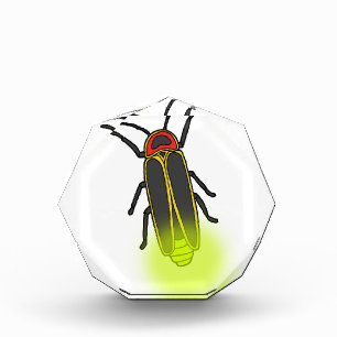 lightning bug lit award