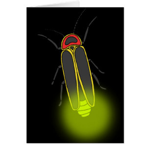 lightning bug lit cards