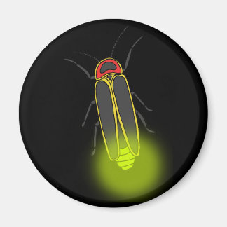 lightning bug lit magnet