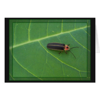 Lightning Bug on Leaf Cards