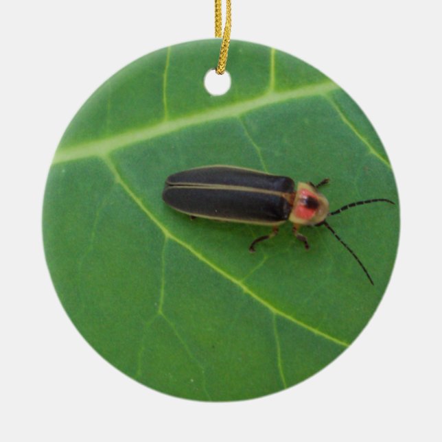 Lightning Bug on Leaf Ceramic Ornament (Front)