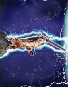 cat lightning sports toys