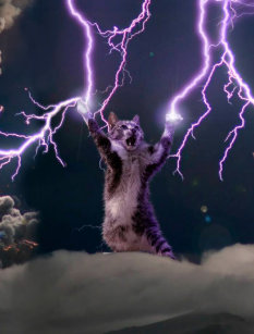 cat lightning invitations stationery