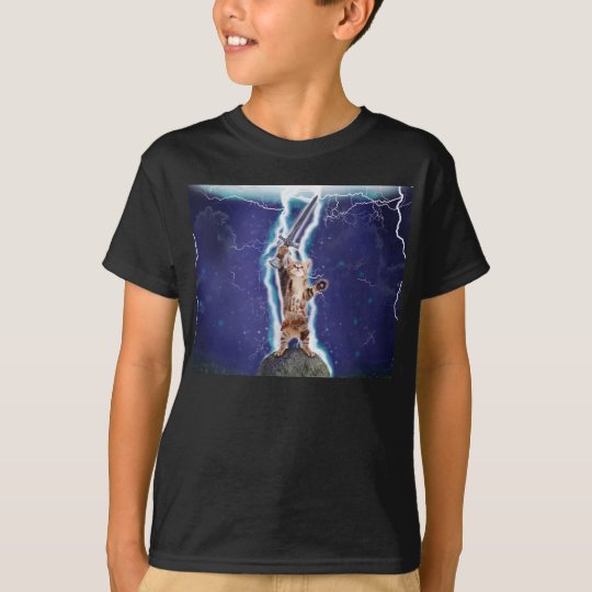 cat with lightning shirt