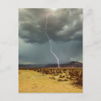 Lightning Joshua Tree Color Postcard