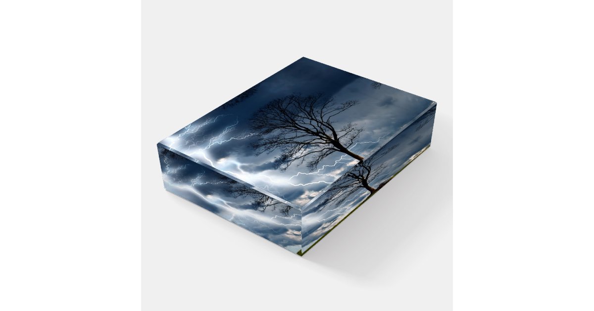 Lightning Storm Tree Navy Blue Paperweight | Zazzle