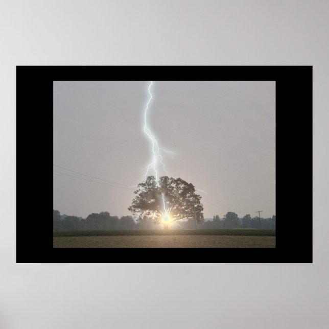 Lightning Strikes Oak Tree Poster (Front)