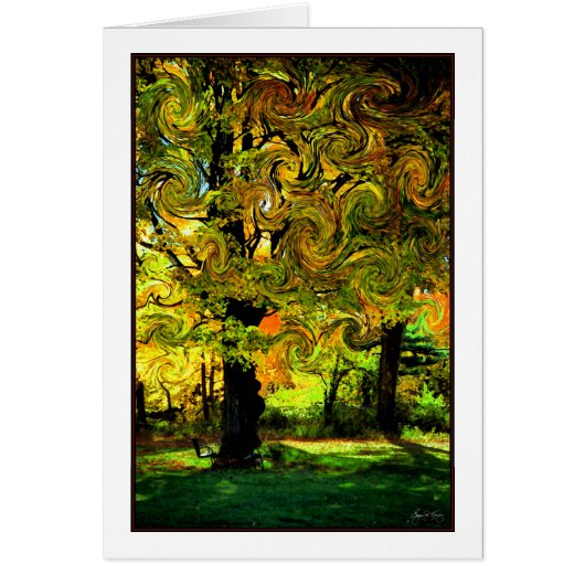 Lightplay in the Leaves Cards (Front)