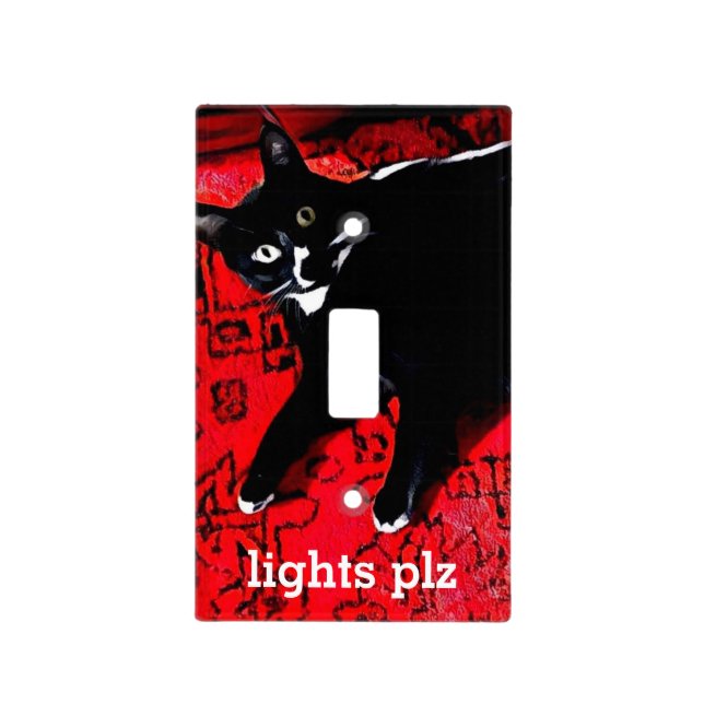 Lights Plz Single Toggle switch plate (Front)