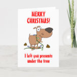 Lights &amp; Poo Holiday Card