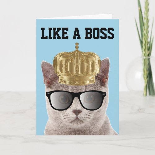 LIKE A BOSS BIRTHDAY CAT CARDS