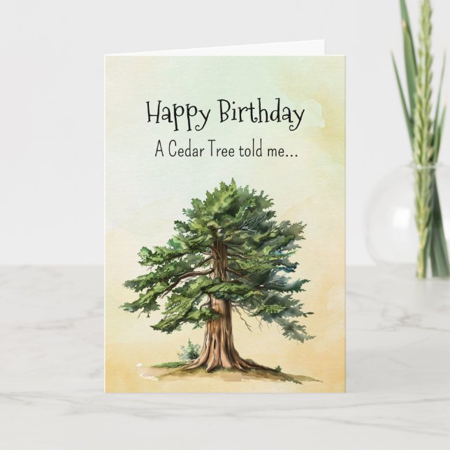 Like a Cedar Tree Spirit  Birthday Personalities  Card (Front)