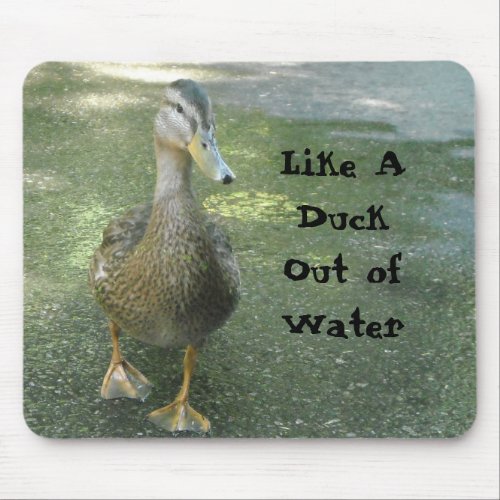 Like A Duck Out of Water Mouse Pad
