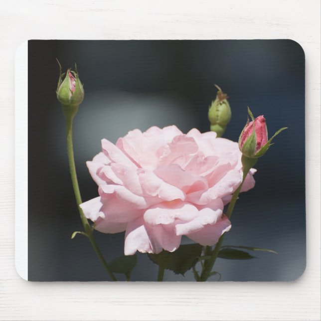 like a rose mouse pad (Front)