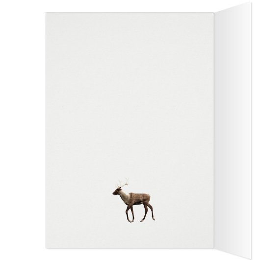 Like a son to me, Christmas scene with reindeer (Inside (Left))