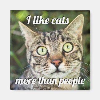 Like cats more than people green-eyed cat close-up