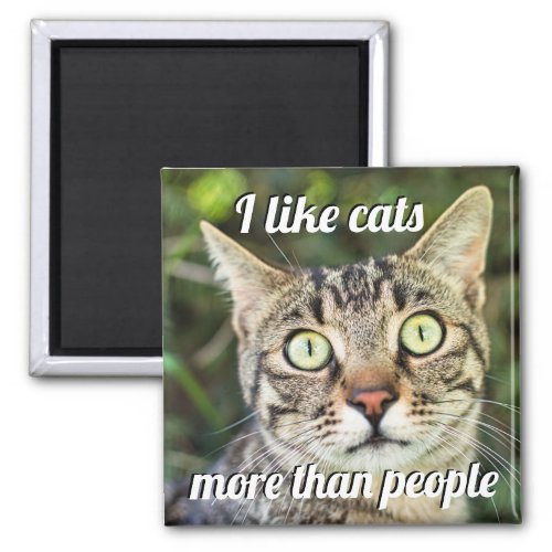 Like cats more than people green_eyed cat close_up magnet