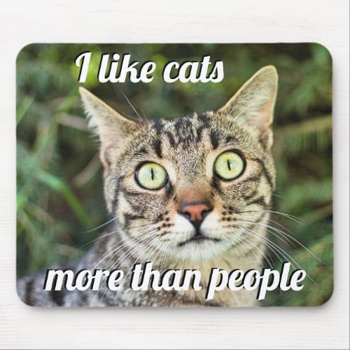 Like cats more than people green_eyed cat close_up mouse pad