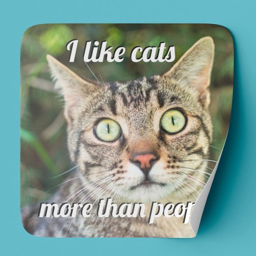 Like cats more than people green_eyed cat close_up square sticker